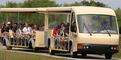 Experience the Everglades