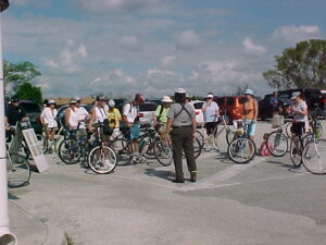 A group of bike riders enjoying an Everglades ecotour on the Everglades bike trail.