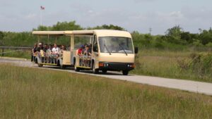 Shark Valley Tram Tour Bus driving through the Everglades